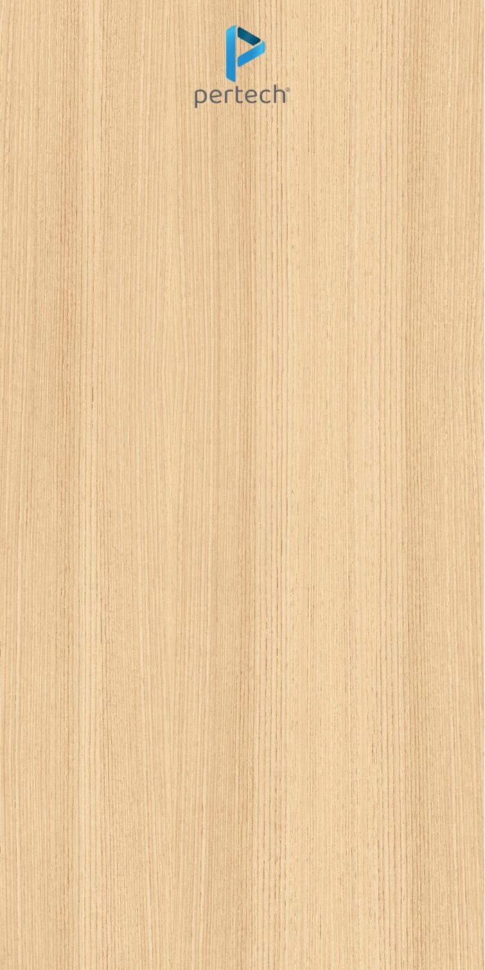 PP 7919 – TECA