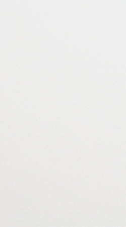 PP 60 - BRANCO